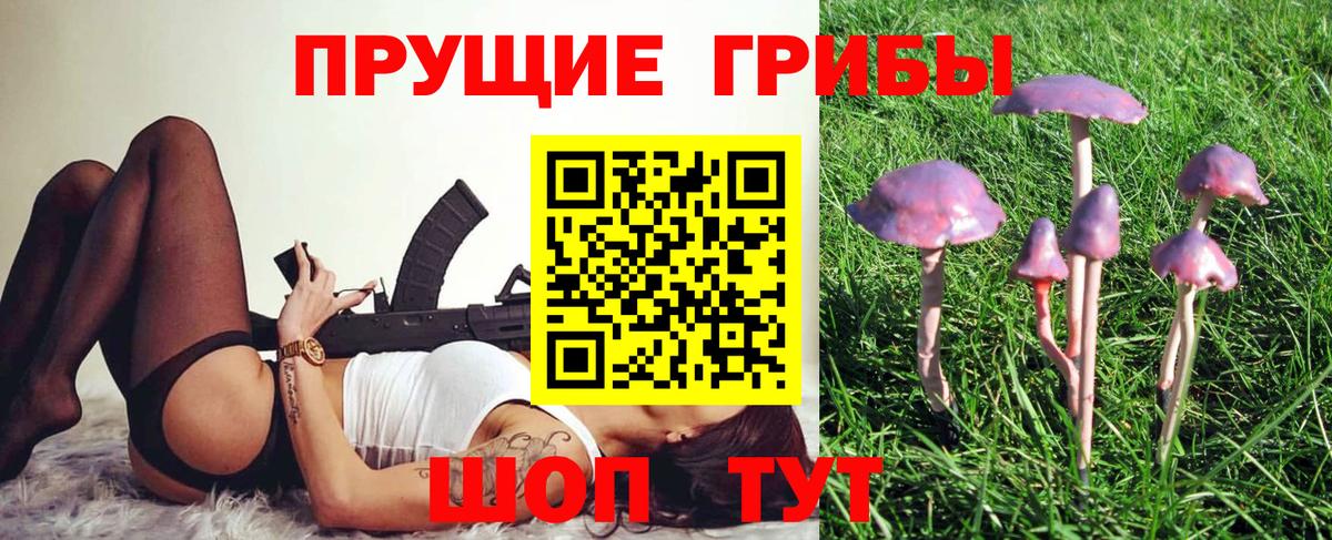 Псилоцибиновые грибы Magic Shrooms Ачхой-Мартан