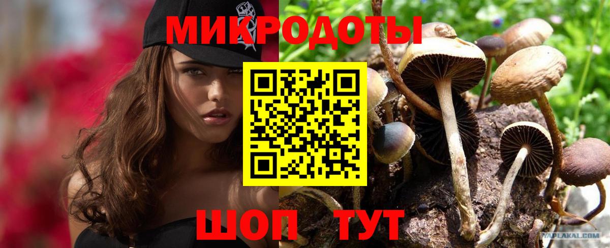 Ачхой-Мартан  Псилоцибиновые грибы ЛСД  Вход с VPN 