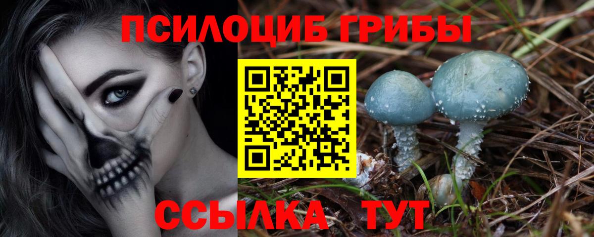 Бошки Шишки Ачхой-Мартан